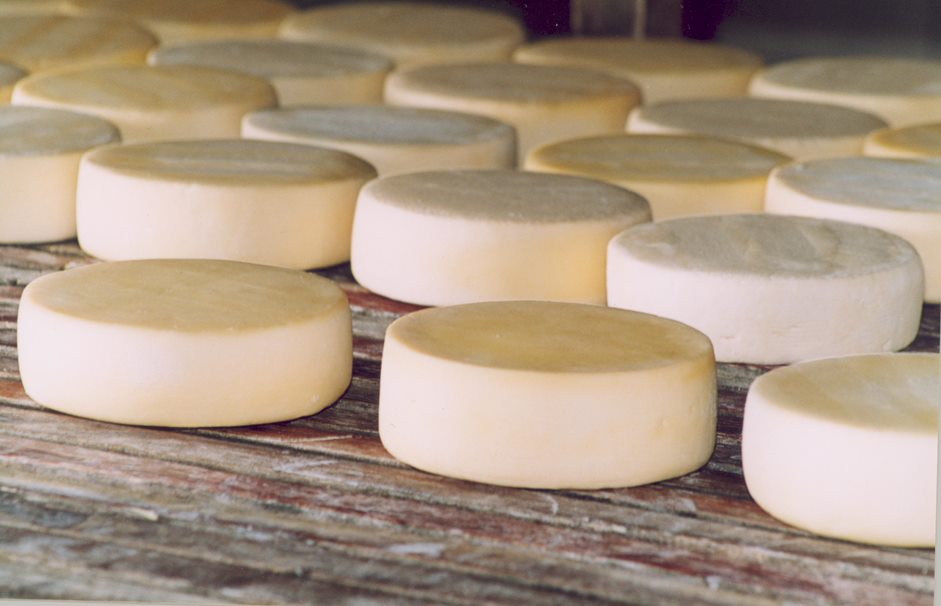 Dia Mundial do Queijo é celebrado nesta quinta-feira (20/1)