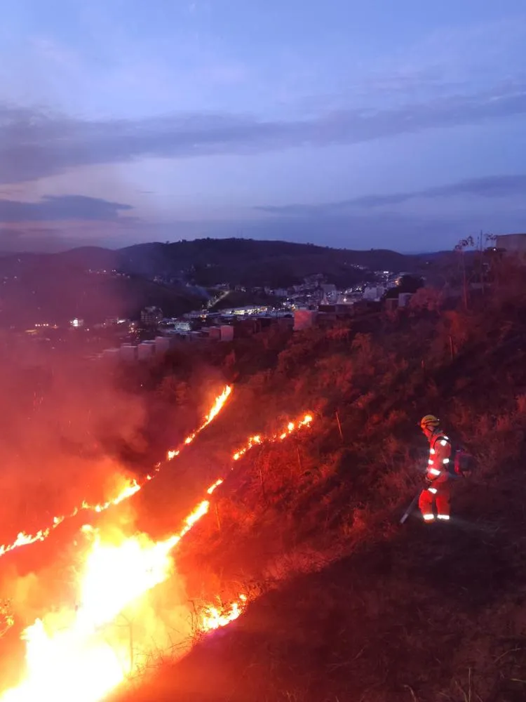 Incêndio em vegetação mobiliza Bombeiros e ameaça casas no bairro Vitória, em Ubá