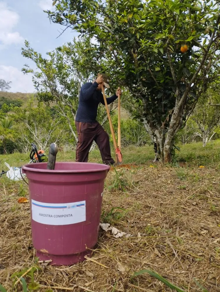 Programa de análise de solo beneficia 27 produtores rurais e realiza mais de 80 coletas em Ubá